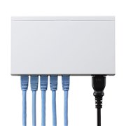 [LAN-GSW05P/MA]