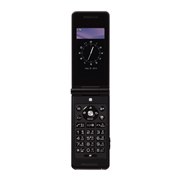[docomo STYLE series P-07BiubNj]