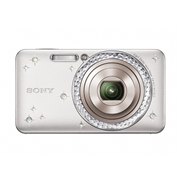 [DSC-W570D�i�V���o�[�j]