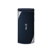 [docomo STYLE series F-10C]