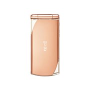 [docomo STYLE series F-10C]