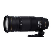 [SIGMA APO 120-300mm F2.8 EX DG OS HSM]