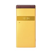 [docomo STYLE series P-06C]