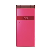 [docomo STYLE series P-06C bh]