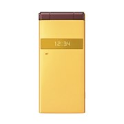 [docomo STYLE series P-06C CG[]