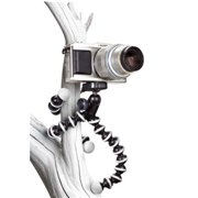 [�S�����|�b�h�E�n�C�u���b�h]