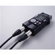 Multi-track Linear PCM Recorder LS-100