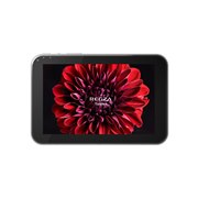 REGZA Tablet AT700/46F