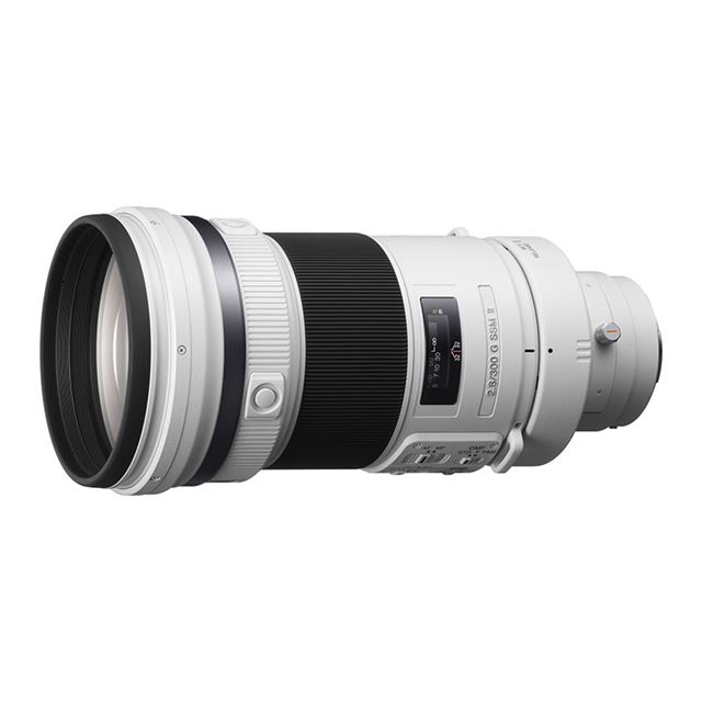 SONY - ☆300mm超望遠＆手振れ補正☆SONY ソニー α300 ダブルズームの+