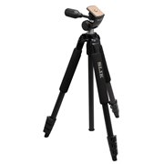 �X�v�����gEX IIN