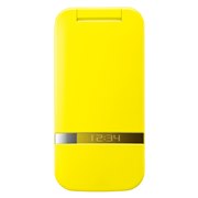 PANTONE WATERPROOF 202SH