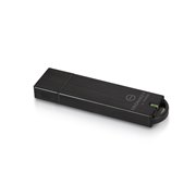 IronKey Workspace W300