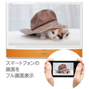 �X�}�z���C�tAQUOS LC-24MX1