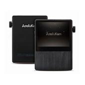 Astell&Kern Astell&Kern AK100-32GB-GLD [32GB ゴールド] 価格比較 ...