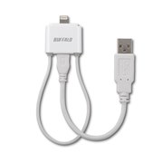 ちょいテレi 1S-IPM110