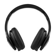 DNA Pro