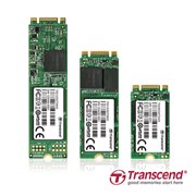 �uMTS400�v�uMTS600�v�uMTS800�v�V���[�Y