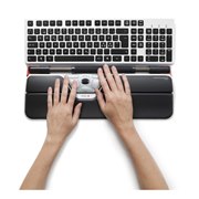 RollerMouse�V���[�Y