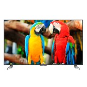 LC-60US20 �C���[�W