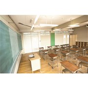 RICOH PJ WX4241