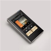 �V���o�[���f��