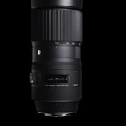 SIGMA 150-600mm F5-6.3 DG OS HSM | Contemporary
