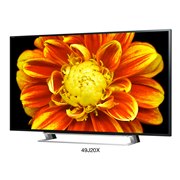 49V�^�u49J20X�v