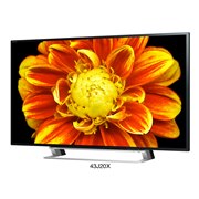 43V�^�u43J20X�v