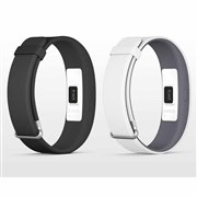 SmartBand 2 SWR12