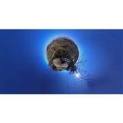 パノラマ画像 リトルプラネット