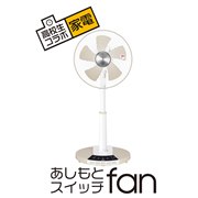 �������ƃX�C�b�`fan TLR-CG30