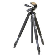 �A���E�e�B��