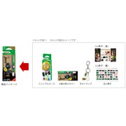 セット内容イメージ