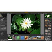 ��ʃC���[�W