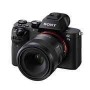 35mm �t���T�C�Y�Ή���[E �}�E���g]�����Y �wFE 50mm F2.8 Macro�x�@SEL50M28�@�������Y�������f�W�^�����J���� �w��7 �h�h�x ������