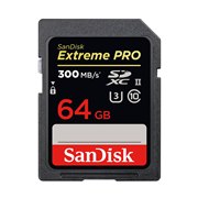 SANDISK SDSDXPK-064G-JNJIP [64GB] 価格比較 - 価格.com