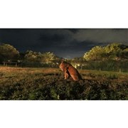 EX-FR110H�ŎB�e�����ꍇ