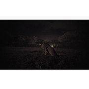 ���Џ]�����f���ŎB�e�����ꍇ