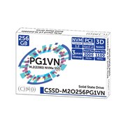CSSD-M2O256PG1VN