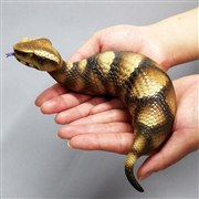 �\�t�r�g�C�{�b�N�X015 �c�`�m�R �Ƃ̎q