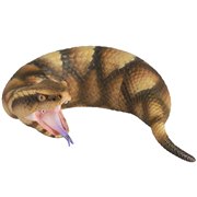 �\�t�r�g�C�{�b�N�X015 �c�`�m�R �Ƃ̎q