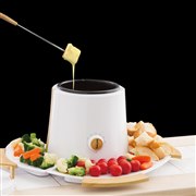 �uROOM PREMIUM �I�C���t���C���[ �t�H���f�� EB-RM22G�v