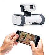 アボットライリー