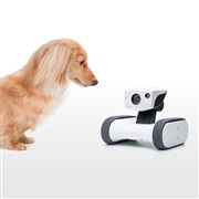 アボットライリー