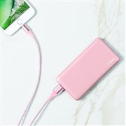 Pocket Power ���o�C���o�b�e���[