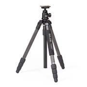 ���C�g�J�[�{��E84 FA