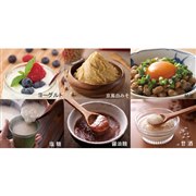 ���y���l YXA-100