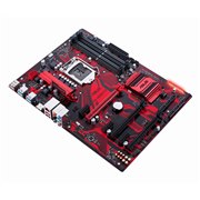 ASUS EX-B250-V7 価格比較 - 価格.com