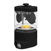 �u���ɂ�TKG�v