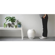 Rain Wi-Fi���f��